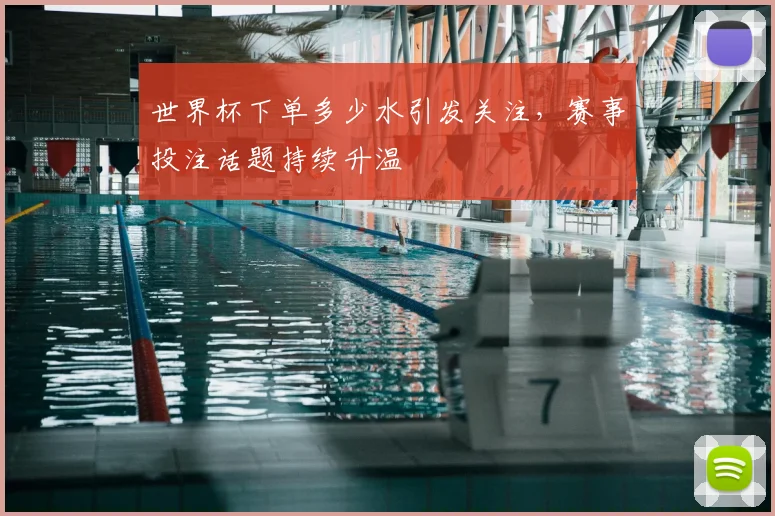 世界杯下单多少水引发关注,赛事投注话题持续升温