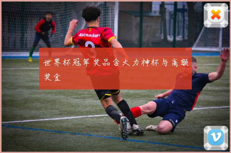 世界杯冠军奖品含大力神杯与高额奖金