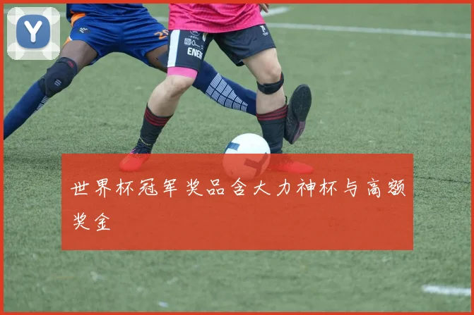 世界杯冠军奖品含大力神杯与高额奖金